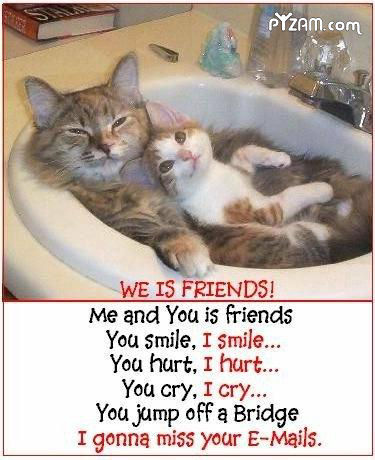 quotes and sayings about friendship. Funny sayings quotes friends